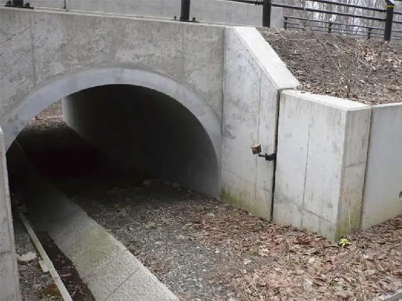 動物の移動経路