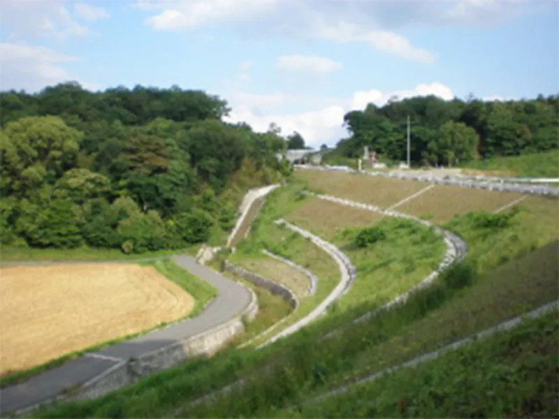 福岡県 京築地区広域農道