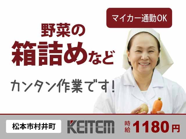 【野菜の加工・箱詰め】
人気の日勤専属のオシゴト♪
お休みはシフト制です☆
機械を使って野菜の皮むきや
箱詰め、運搬作業など◎
簡単作業で未経験の方も大歓迎☆
女性の方も多数活躍中です!
マイカー通勤OK!無料P完備!