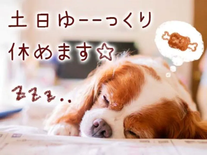 キレイな職場で新生活始めましょう🎵
