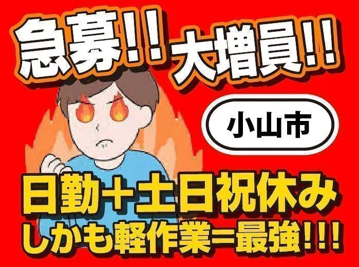 【緊急大募集】人気の日勤・土日祝休み♪★小山を代表する超有名企業★駅チカで通勤らくらく!!