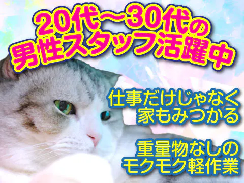 20代30代活躍中■月収40万円以上可■半導体装置の製造／寮費無料／日払いOK／充実した手当で未経験スタートでもしっかり高収入
