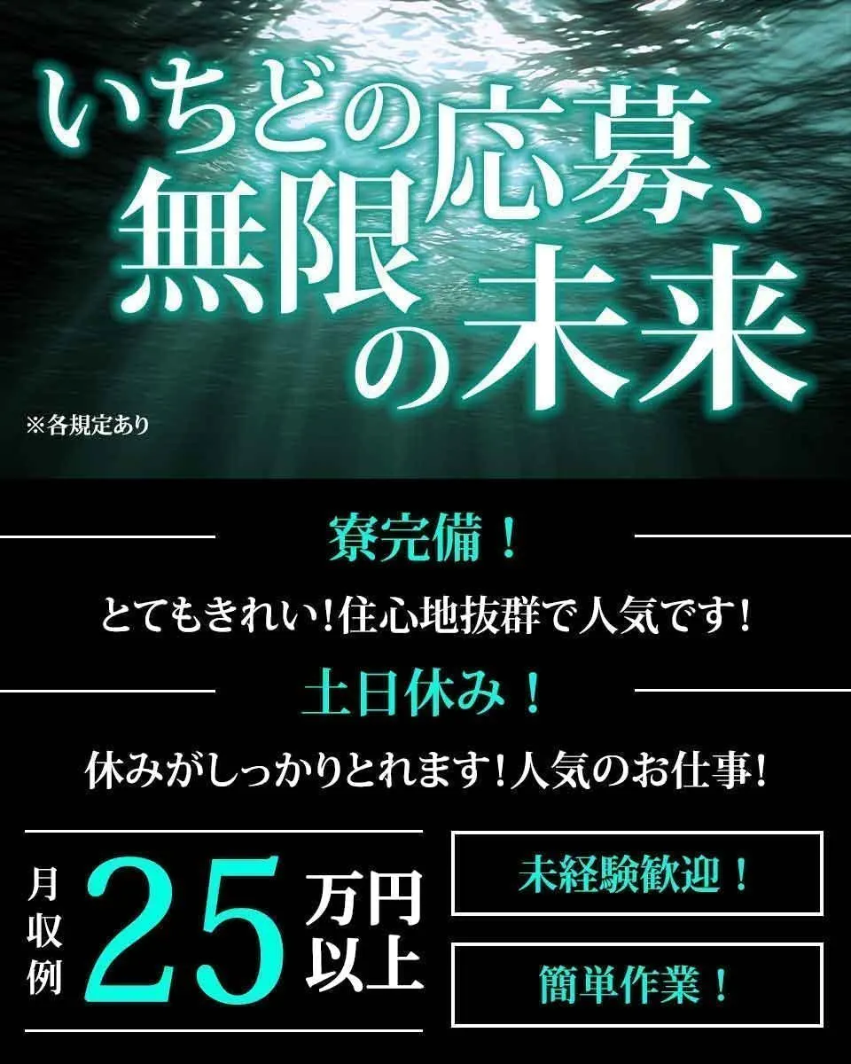 ≪寮完備・月収25.5万円・派遣社員≫電子部品系工場での組立・加...