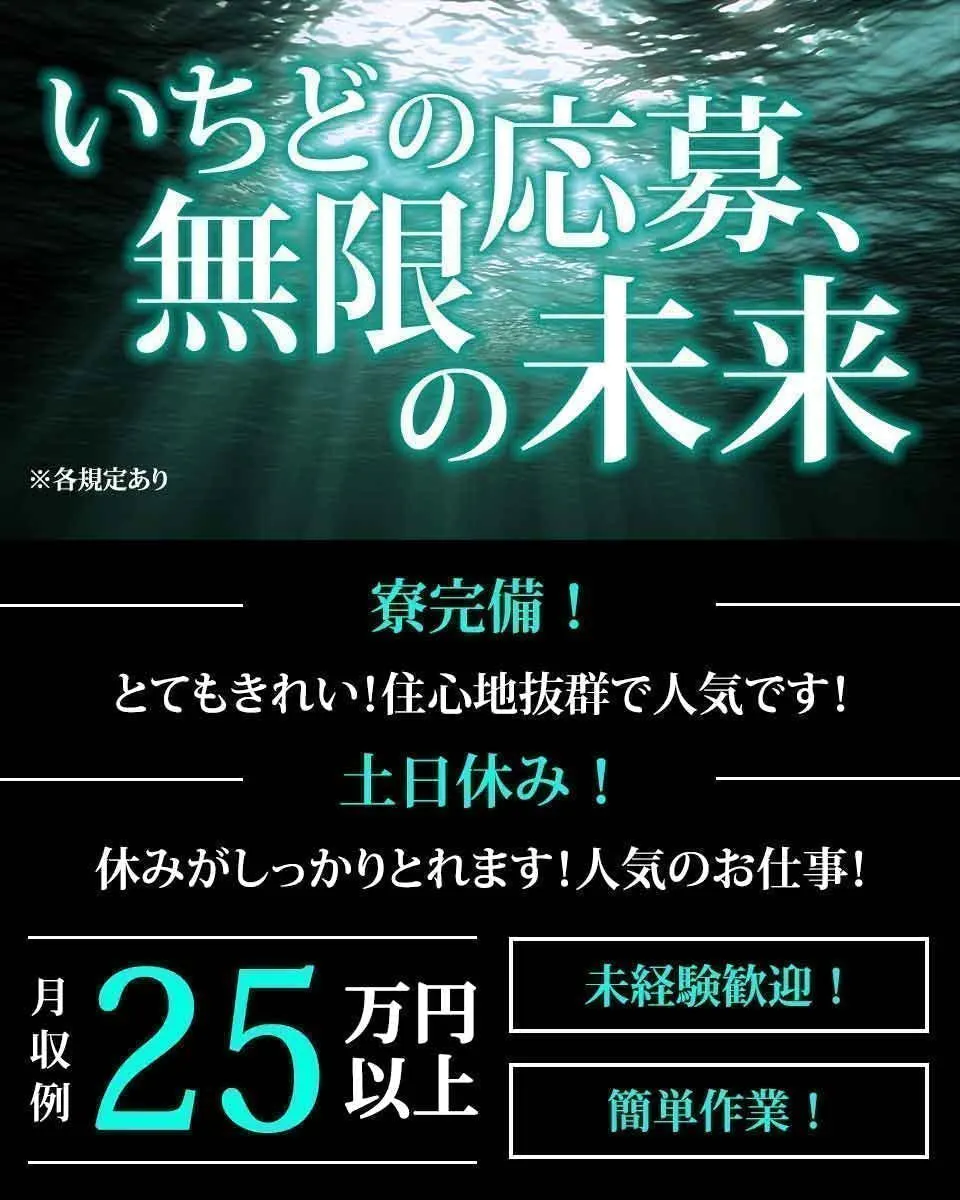 ≪寮完備・月収25.5万円・派遣社員≫電子部品系工場での組立・加...