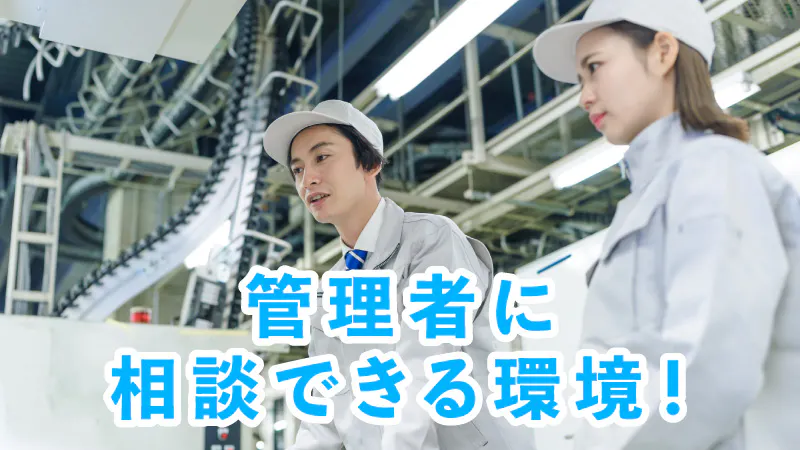 お仕事内容