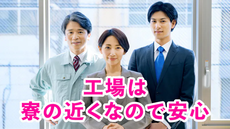 安定の大手企業で働く