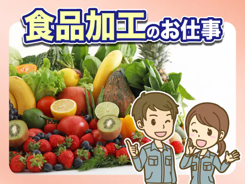 仕事概要・詳細