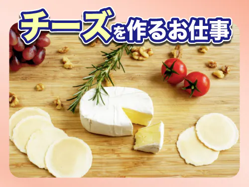仕事概要・詳細