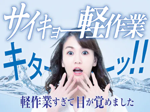 人気の軽作業のお仕事です♪