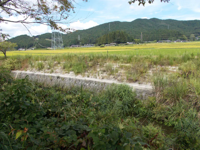 河川局部改修工事の内測量及び設計業務委託