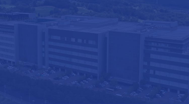 企業情報