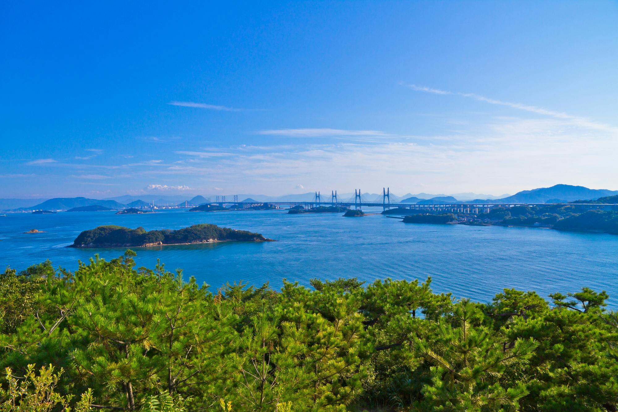 コラム記事の画像